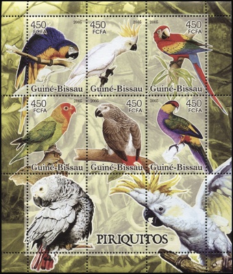 Гвинея-Биссау. 2005. Попугаи (М.Лист. MNH OG)