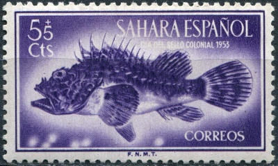 Испанская Сахара. 1953. Золотистая скорпена (Scorpaena scrofa) (Почтовая марка. MLH)