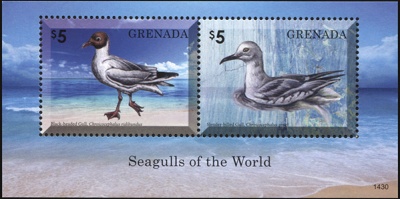 Гренада. 2014. Чайки II (Блок. MNH OG)