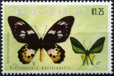 Папуа Новая Гвинея. 2002. Орнитоптера меридионалис (Почтовая марка. MNH OG)