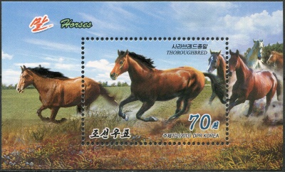КНДР. 2013. Английский чистокровный скакун (Equus ferus caballus) (Блок. MNH OG)