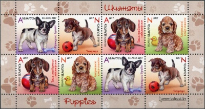 Беларусь. 2017. Щенки (Малый лист. MNH OG)
