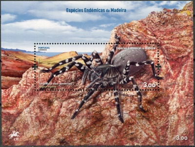 Мадейра. 2023. Паук-волк (Hogna ingens) (Почтовый блок. MNH OG)