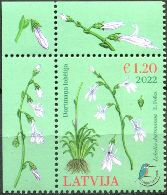 Латвия. 2022. Водная лобелия (Lobelia dortmanna) (I) (Почтовая марка. MNH OG)