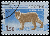Россия. 2008. Рысь на голубом фоне (Почтовая марка. CTO Гашеная)
