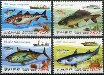 КНДР. 2009. Рыба (Серия. MNH OG)
