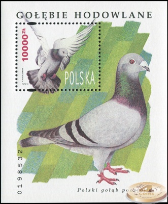 Польша. 1994. Породистые голуби (Блок. MNH OG)