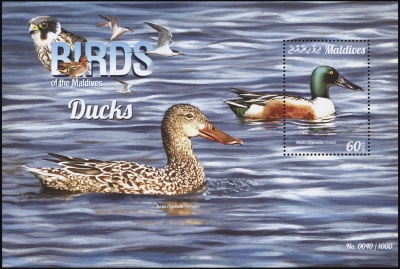 Мальдивы. 2015. Утки (Блок. MNH OG)