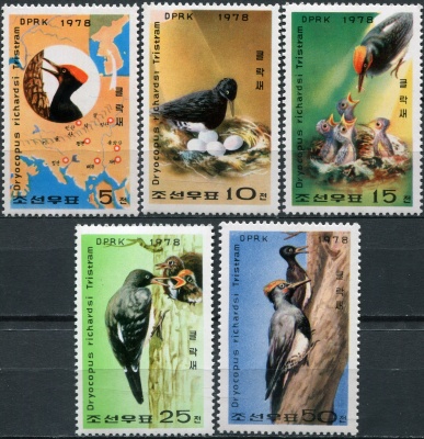 КНДР. 1978. Птицы. Дятел Тристрама (Серия Почтовых марок. MNH OG)