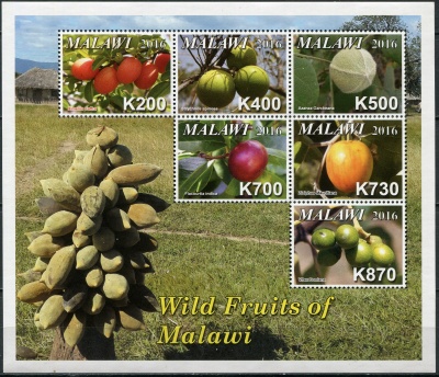 Малави. 2016. Дикорастущие фрукты Малави (Малый лист. MNH OG)