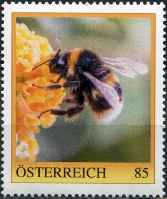Австрия. 2022. Шмель (Почтовая марка. MNH OG)