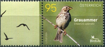 Австрия. 2024. Просянка (Emberiza calandra) (IV) (Почтовая марка. MNH OG)