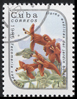 Куба. 1986. Текомария (Почтовая марка. CTO Гашеная)