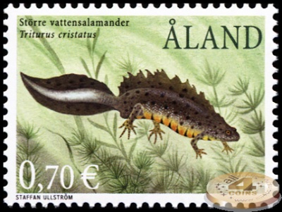 Аландские острова. 2002. Большой Хохлатый Тритон (Почтовая марка. MNH OG)