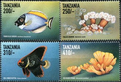 Танзания. 1999. Морская жизнь (Серия. MNH OG)