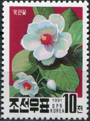 КНДР. 1991. Национальный цветок. Магнолия Зибольда (Почтовая марка. MNH OG)
