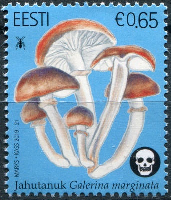 Эстония. 2019. Галерина окаймлённая (Почтовая марка. MNH OG)