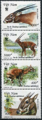Вьетнам. 2000. Саола (Pseudoryx nghetinhensis) (Сцепка. MNH OG)