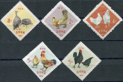 КНДР. 1964. Породы кур (Серия Почтовых марок. MNH)