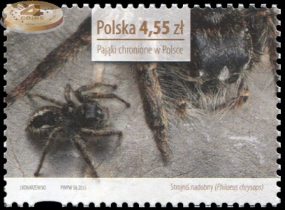 Польша. 2013. Паук-скакун [Philaeus chrysops] (Почтовая марка. MNH OG)