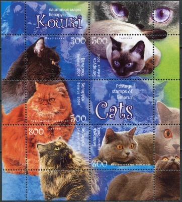 Беларусь. 2004. Кошки (Почтовый блок. MNH OG)