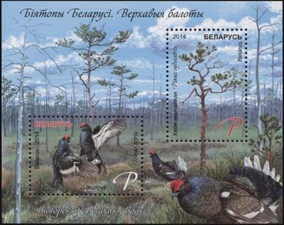 Беларусь. 2014. Биотопы Беларуси. Верховые болота (Блок. MNH OG)