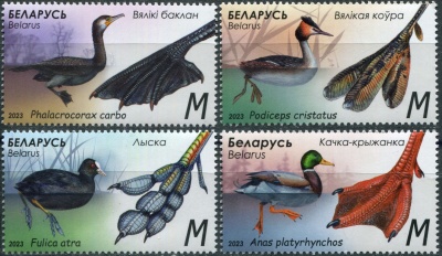 Беларусь. 2023. Особенности водоплавающих птиц (Серия Почтовых марок. MNH OG)