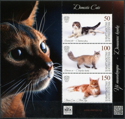 Кыргызстан. 2019. Домашние кошки (Малый лист. MNH OG)