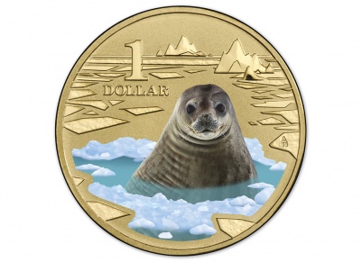 Австралия. 1 доллар. 2013 (Frosted Unc. Эмаль. Карточка)
