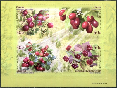 Россия. 2022. Флора России. Ягоды (Квартблок. MNH OG)
