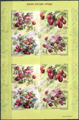 Россия. 2022. Флора России. Ягоды (Малый лист. MNH OG)