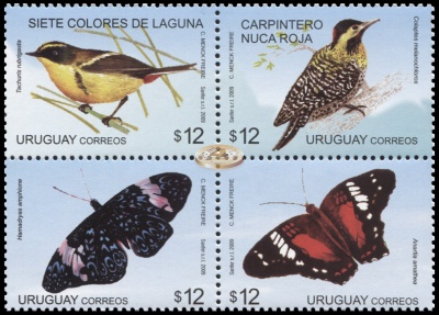 Уругвай. 2009. Птицы и Бабочки (Квартблок. MNH OG)