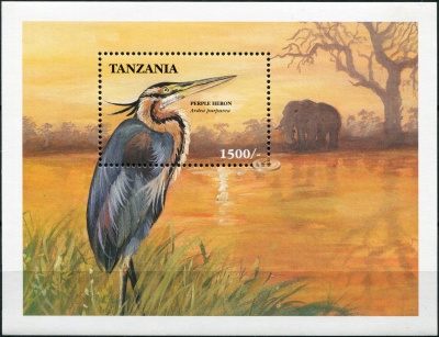 Танзания. 1999. Рыжая цапля [Ardea purpurea] (Блок. MNH OG)