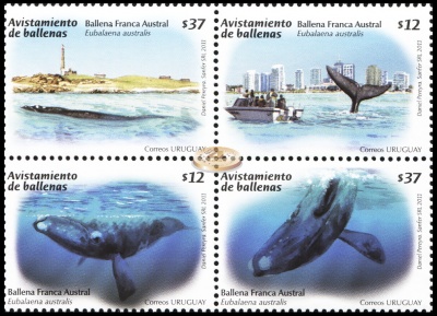 Уругвай. 2011. Наблюдение за китами (Квартблок. MNH OG)