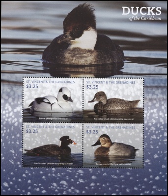 Сент-Винсент и Гренадины. 2015. Карибские Утки (Малый лист. MNH OG)