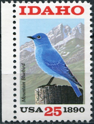 США. 1990. 100 лет штату Айдахо (Почтовая марка. MNH OG)