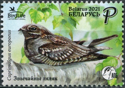 Беларусь. 2021. Обыкновенный козодой (Caprimulgus europaeus) (Почтовая марка. MNH OG)