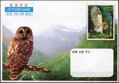 КНДР. 2006. Совы (Аэрограмма. Mint)