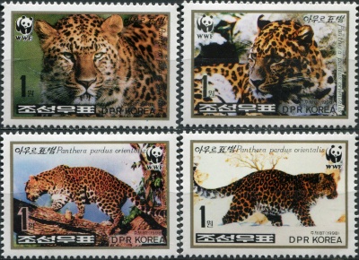 КНДР. 1998. Дальневосточный леопард (Panthera pardus orientalis) (Серия Почтовых марок. MNH OG)