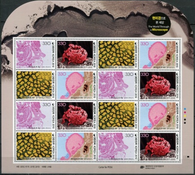 Южная Корея. 2019. Мир под микроскопом (Лист. MNH OG)