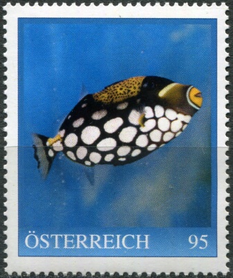Австрия. 2024. Рыба спинорог-клоун (Clown triggerfish) (Почтовая марка. MNH OG)