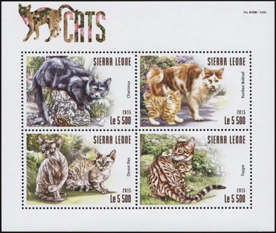 Сьерра-Леоне. 2015. Кошки (М.Лист. MNH OG)