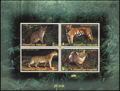 Таиланд. 1998. Дикие кошки Таиланда (Блок. MNH OG)