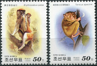 КНДР. 2000. Обезьяны со всего мира (Серия. MNH OG)