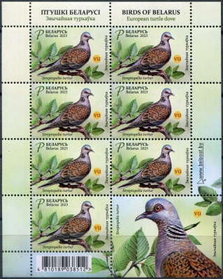 Беларусь. 2023. Обыкновенная горлица (Streptopelia turtur) (Малый лист. MNH OG)