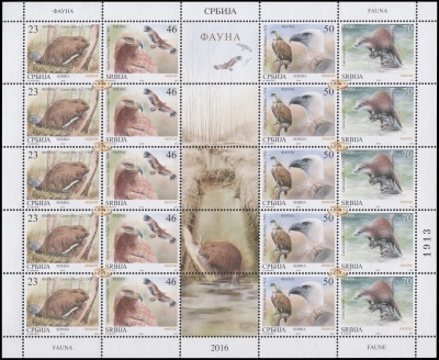 Сербия. 2016. Фауна (Малый лист. MNH OG)