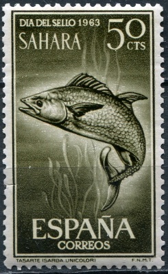 Испанская Сахара. 1963. Одноцветный бонито (Orcynopsis unicolor) (Почтовая марка. XF)