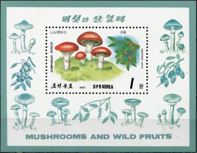 КНДР. 1989. Грибы и ягоды (Почтовый блок. MNH OG)