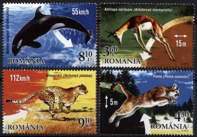 Румыния. 2015. Чемпионы животного мира (Серия. MNH OG)