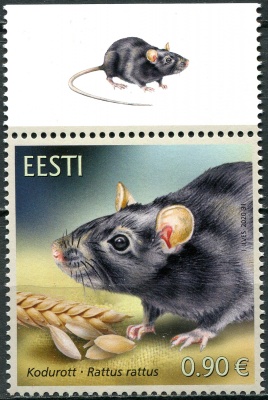 Эстония. 2020. Черная крыса (Rattus rattus) (II) (Почтовая марка. MNH OG)